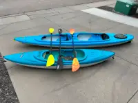 Single and tandem kayak with stand + paddles
