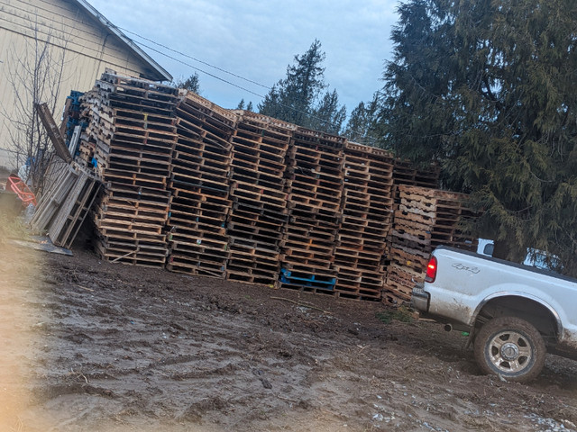 Wood pallets in Other in Abbotsford - Image 2