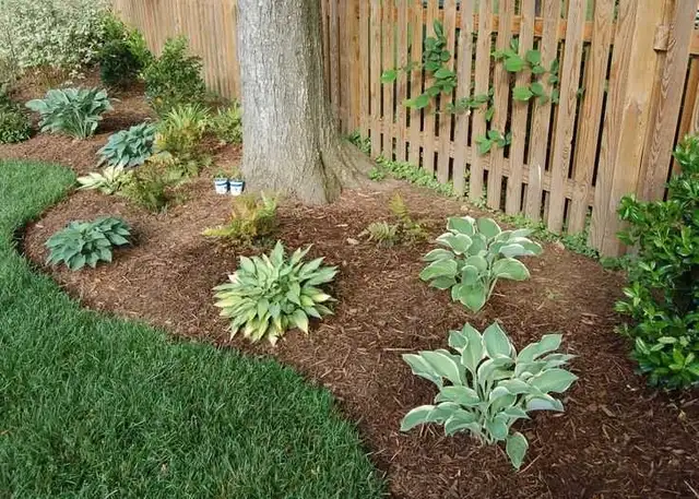 Lawn maintenance63235386012033121