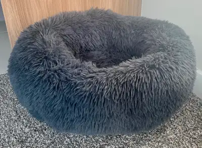 Round cat bed (Catit brand). My cat just wasn’t interested in it.