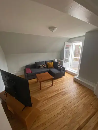 SHORT TERM APPARTEMENT RENTAL JUN/JUL/AUG, View more