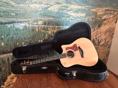 Taylor Acoustic Guitar, View more