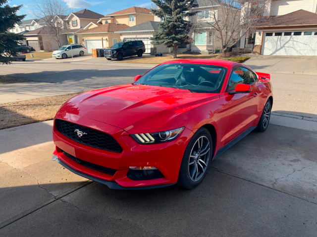 2017 Ford Mustang 2.3T Premium in Cars & Trucks in Calgary