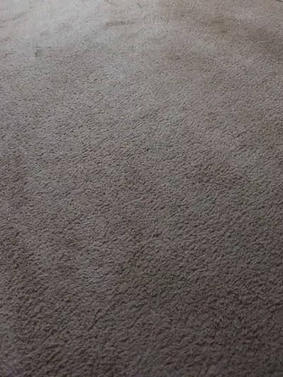 looking to rent a room asap