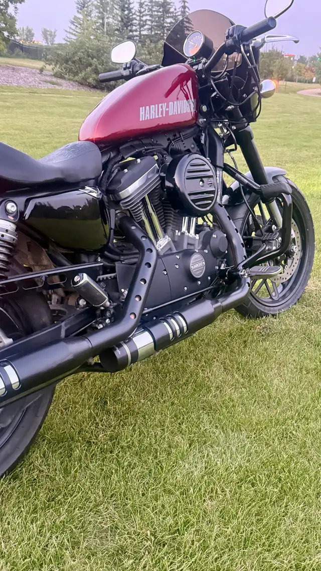 2017 Harley Davidson Roadster in Street, Cruisers & Choppers in Edmonton - Image 4