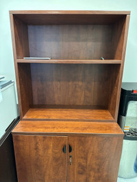 Office Cabinette/Book Shelf