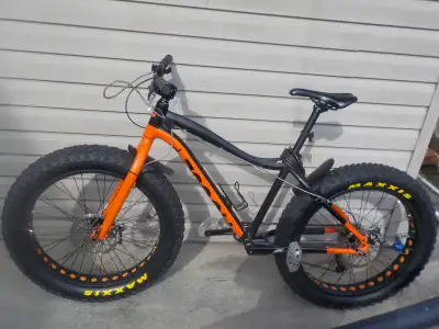 Moose Fat Bike, View more