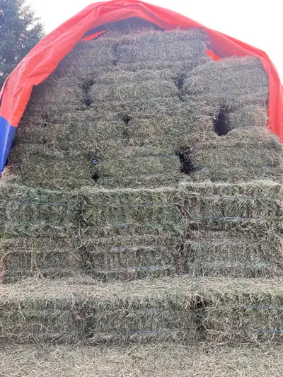 Small square hay bales, View more
