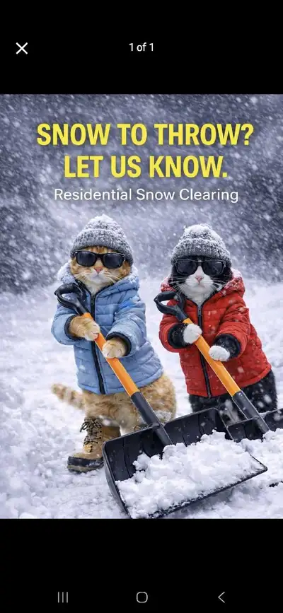 Snow Removal, View more