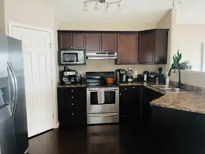 Clean quiet shared home