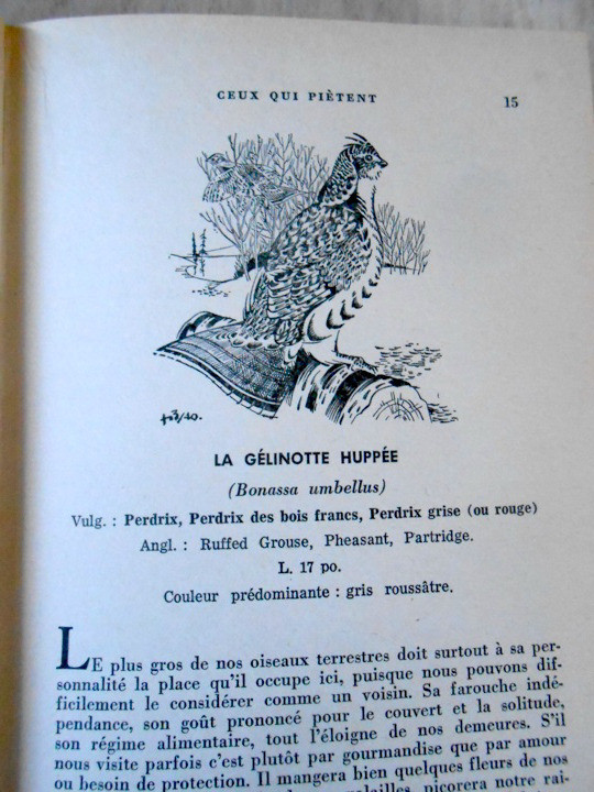 2 Vieux Livres Observation des Oiseaux - Ornithologie dans Manuels  à Sherbrooke - Image 2