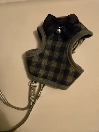 Small dog harnest and leash, View more