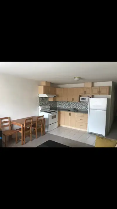 2 Bedroom 1 bathroom basement suite for rent $2000 a month
