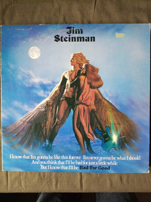 Jim Steinmann: Bad For Good in CDs, DVDs & Blu-ray in Ottawa - Image 2