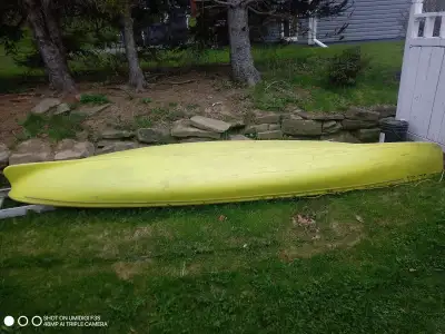14 ft thick plastic 2 person kayak for sale