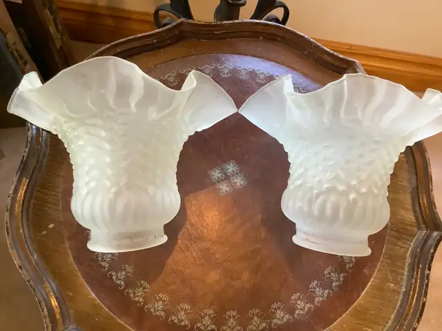 Two Vintage Frosted Petticoat Glass Lamp Shades in Indoor Lighting & Fans in Belleville - Image 3