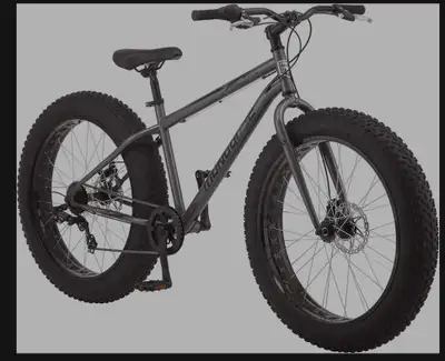 Kijiji fat bike clearance