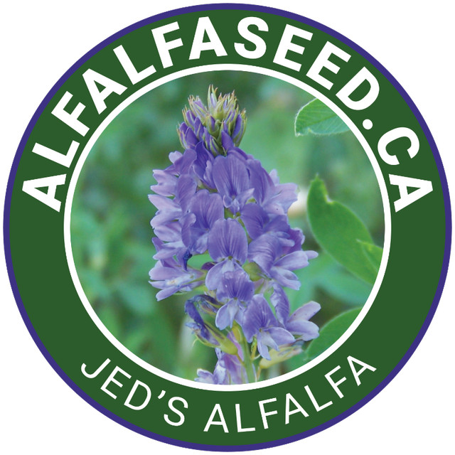 Alfalfa Seed, Grower Direct $3.50/lb, Inoculated in Other in Saskatoon - Image 2