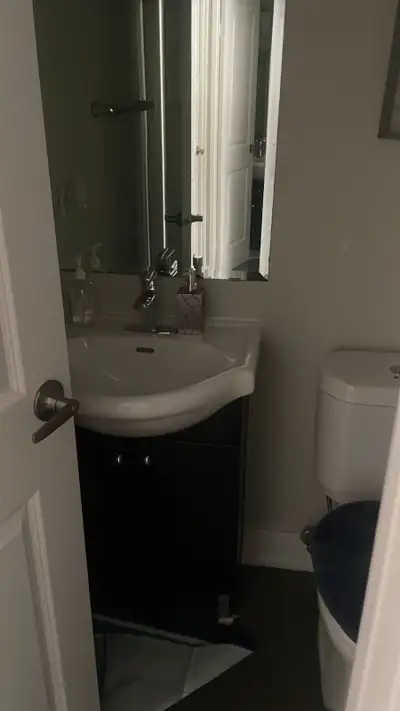 1 Bedroom and Den/Studio for rent