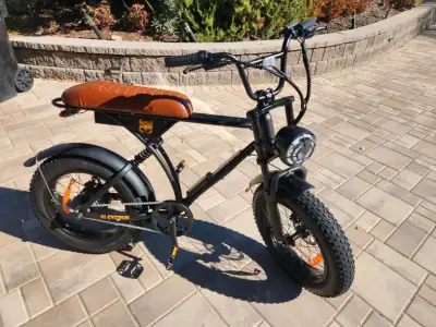 New rugged e-bikes-750w-fat tires-13ah batt-60 to 100 km range, View more