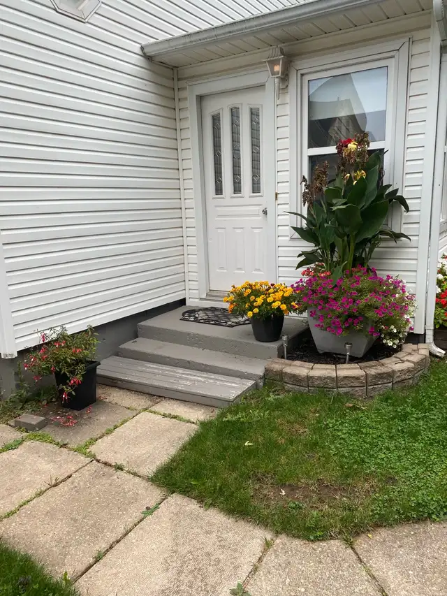 1  Bedroom Apartment  in Long Term Rentals in Moncton - Image 2