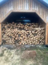 Pine Firewood! 