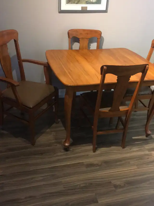 table and 5 chairs - solid wood in Dining Tables & Sets in Truro - Image 3