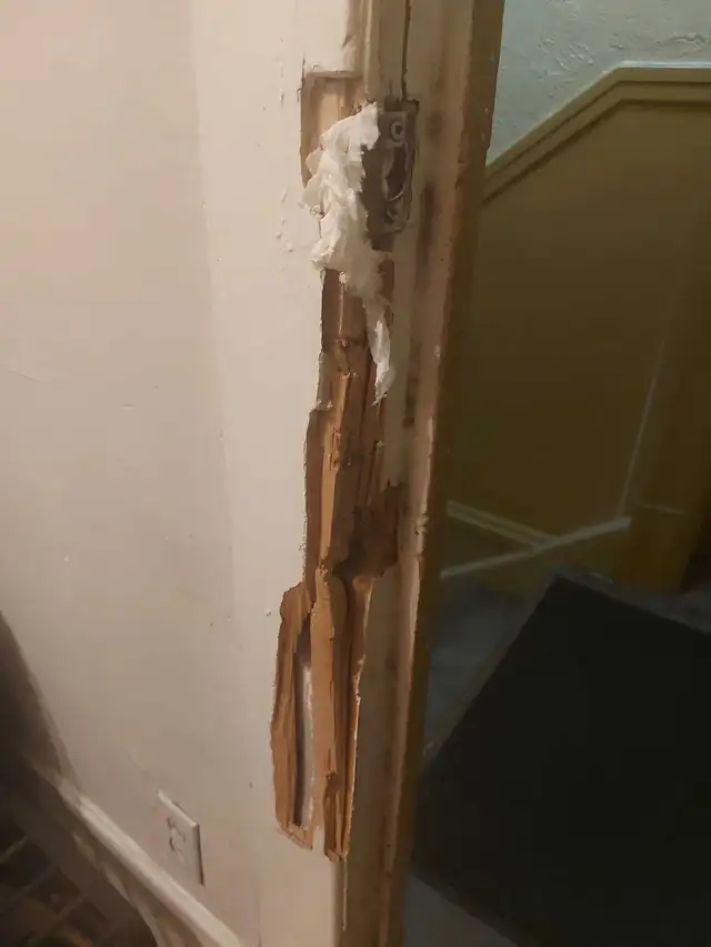 handyman services446508460881356801