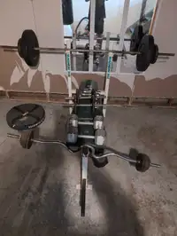 305 lb of weight, straight bar, an easy curl bar and bench. 