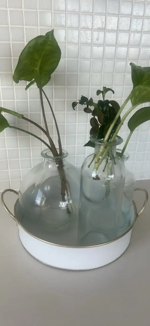 7” round tin tray with 3 glass vases in Home Décor & Accents in City of Toronto - Image 4