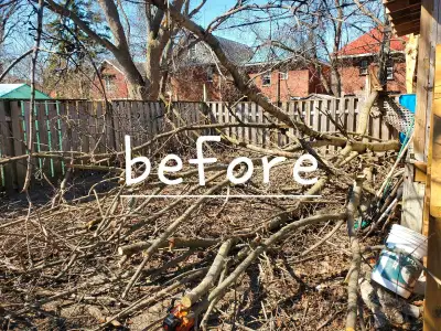 If you require cleanup services following the ice storm, our chipper and chainsaws are ready to go....