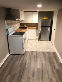Newly Renovated One Bedroom Basement Apartment-$1200