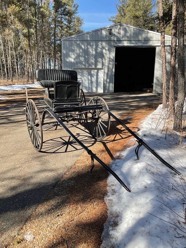 Single light horse buggy for sale in Equestrian & Livestock Accessories in Prince Albert