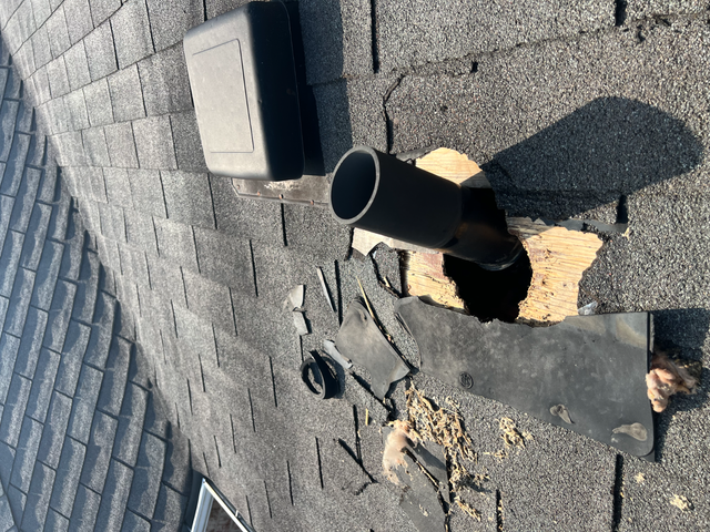 Affordable Raccoon Removal Mississauga in Other in Mississauga / Peel Region - Image 9