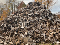 Seasoned ash firewood