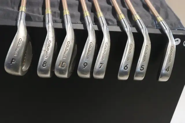 Goldwin Golf AVDP Oversize Ladies Graphite Irons (#38806-1) in Golf in City of Halifax - Image 11
