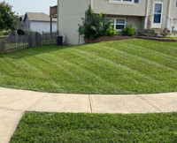 Lawn cutting and grass maintenance
