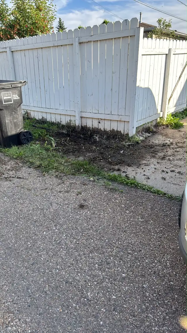 Junk Removal 543426439388211202