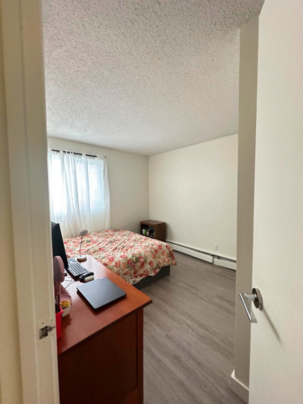 Bangladeshi girl roommate wanted in Room Rentals & Roommates in Edmonton - Image 3
