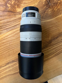 Canon 100-400 Lens