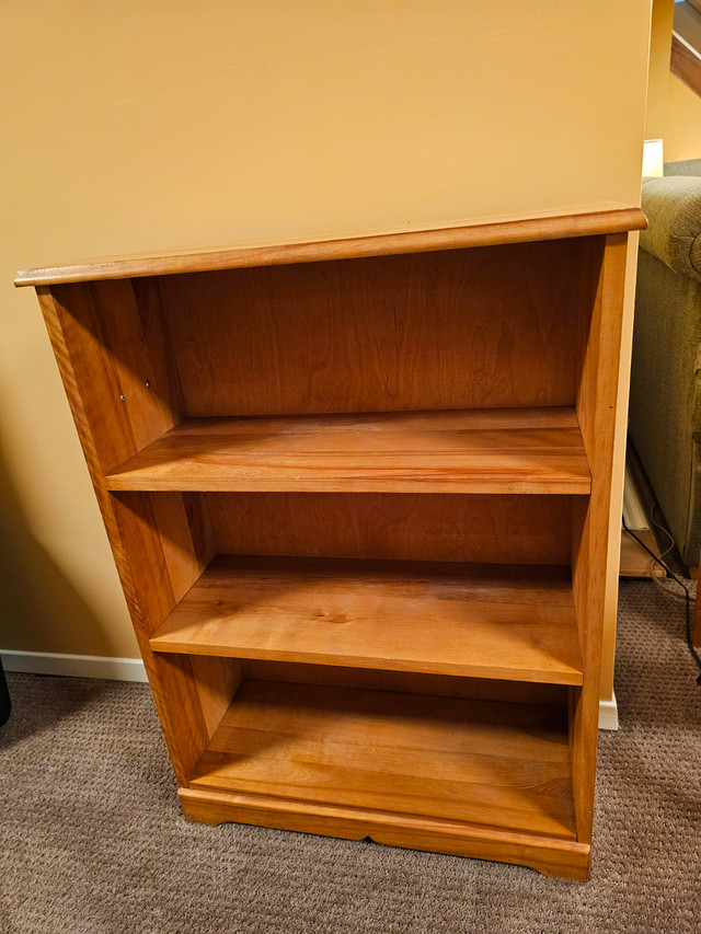 Bookcase in Bookcases & Shelving Units in St. Catharines