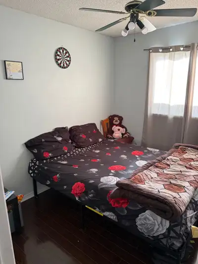room for rent