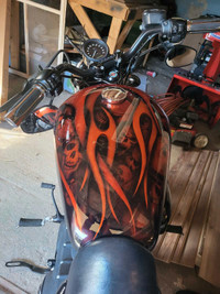 2014 Harley Davidson 48 edition XL 1200 X