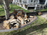 Project wood - firewood