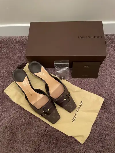 Classic LV shoes