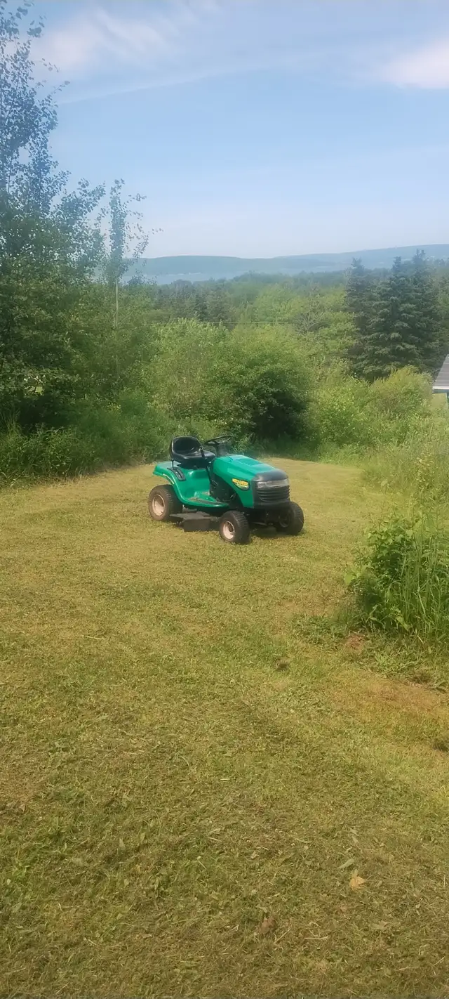 Lawn mowing and whipper snipping