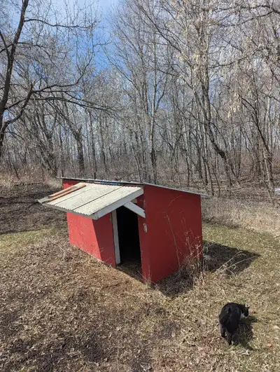 goat shelter, View more