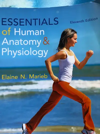 Essentials of Human Anatomy and Physiology , View more
