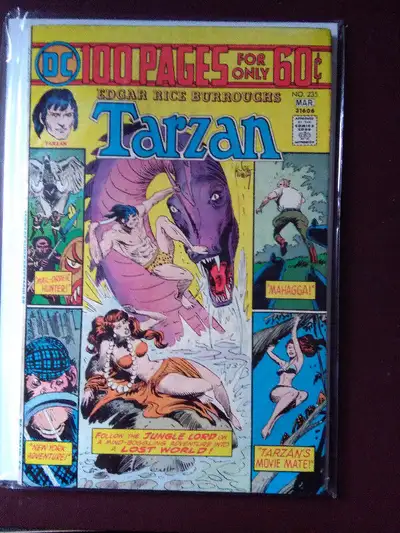 TARZAN - LORD OF THE JUNGLE - DC #235., View more