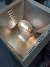 1000w grow light